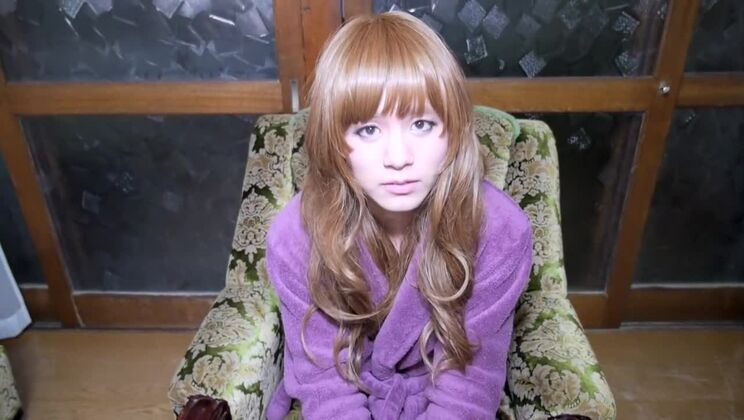 Wunderschöne japanische Hündin