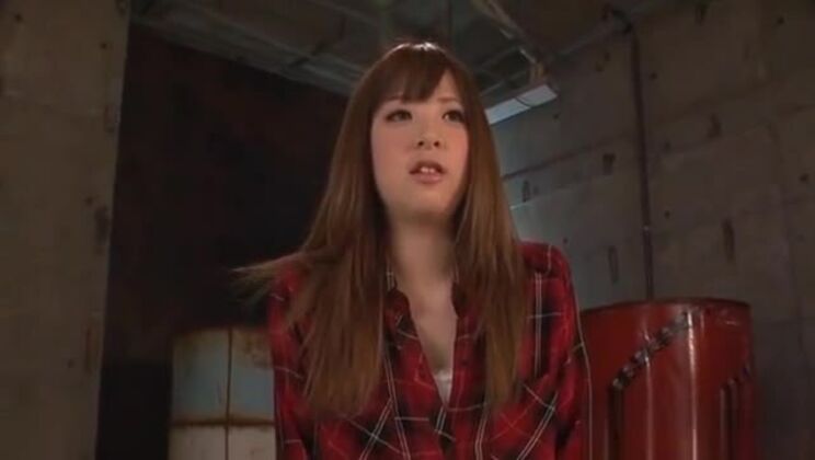 Behaarte Muschi wird geleckt und gefickt