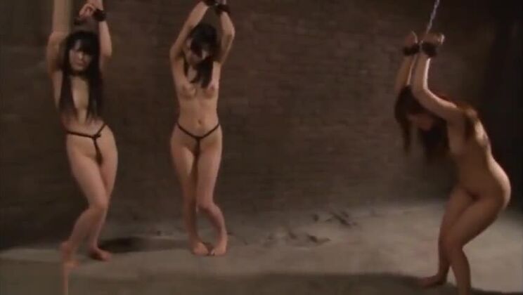 Unglaubliches asiatisches Sexvideo, das man je gesehen hat