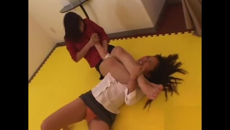 Japanischer Katzenkampf 1-5