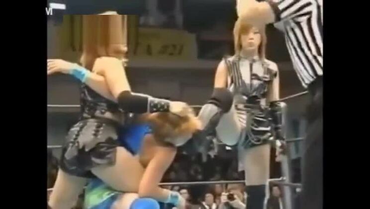 Fantastischer japanischer Erotikclip (exklusive Version)