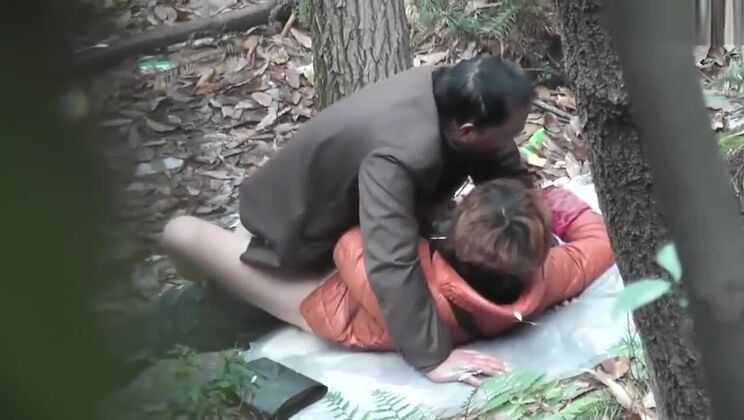 Chinesischer Papa Wald 33