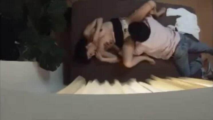 Verstecktes Bild von Nanpa